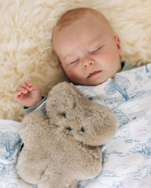 FLATOUTbear Baby Latte