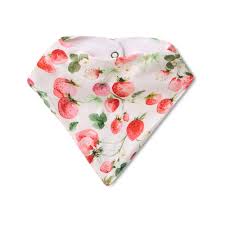 [Snuggle Hunny] Dribble Bandana Bib - Strawberry