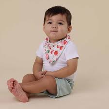 [Snuggle Hunny] Dribble Bandana Bib - Strawberry