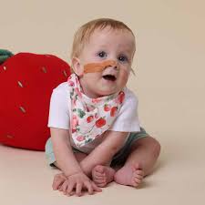 [Snuggle Hunny] Dribble Bandana Bib - Strawberry
