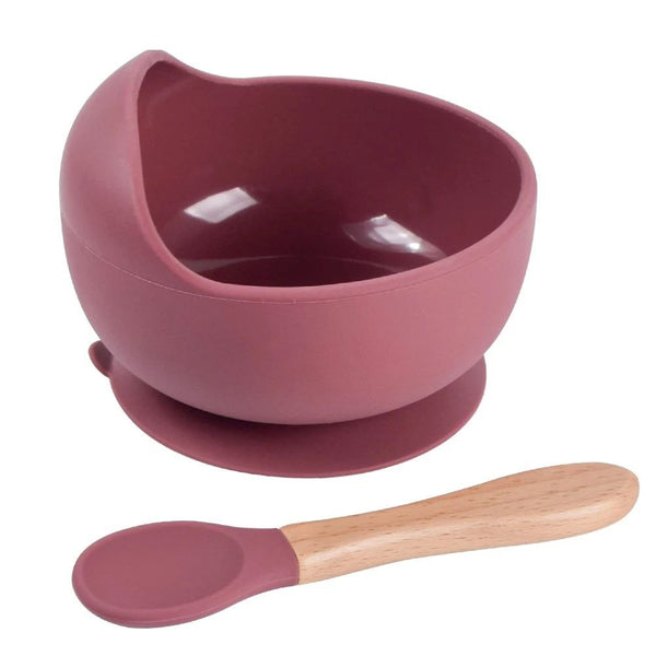 Silicone Bowl and Spoon Set